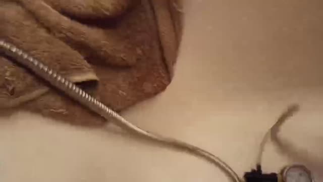 sendvid.com