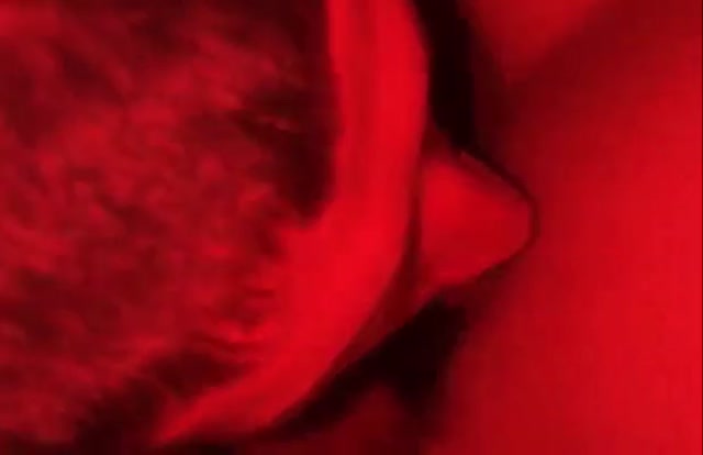 sendvid.com