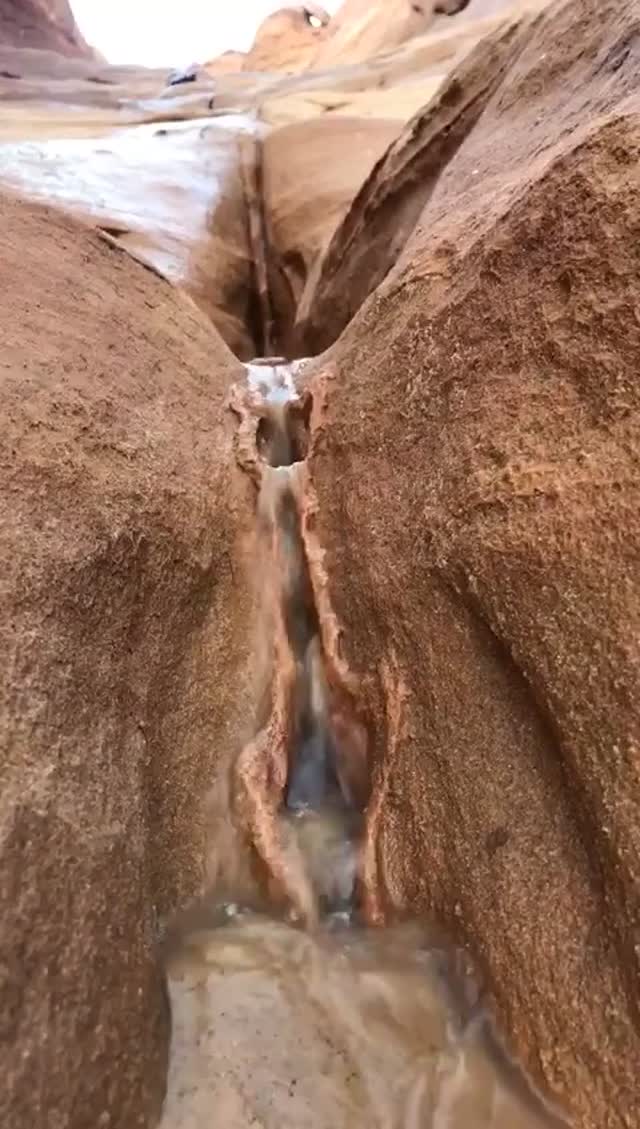 sendvid.com